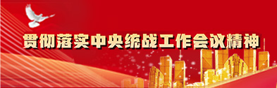 貫徹落實中央統戰工作會議精神